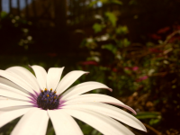 /album/lost-dream-waltz/a2013-04-13-20-50-04-png/